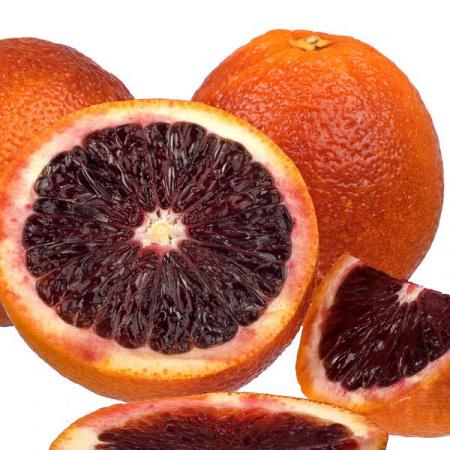 Апельсин Моро - Citrus sinensis cv. Moro D21 H70